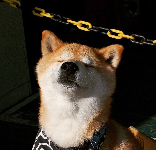 球员在节奏对冲中如何保持技术动作连贯性，节奏对位什么意思